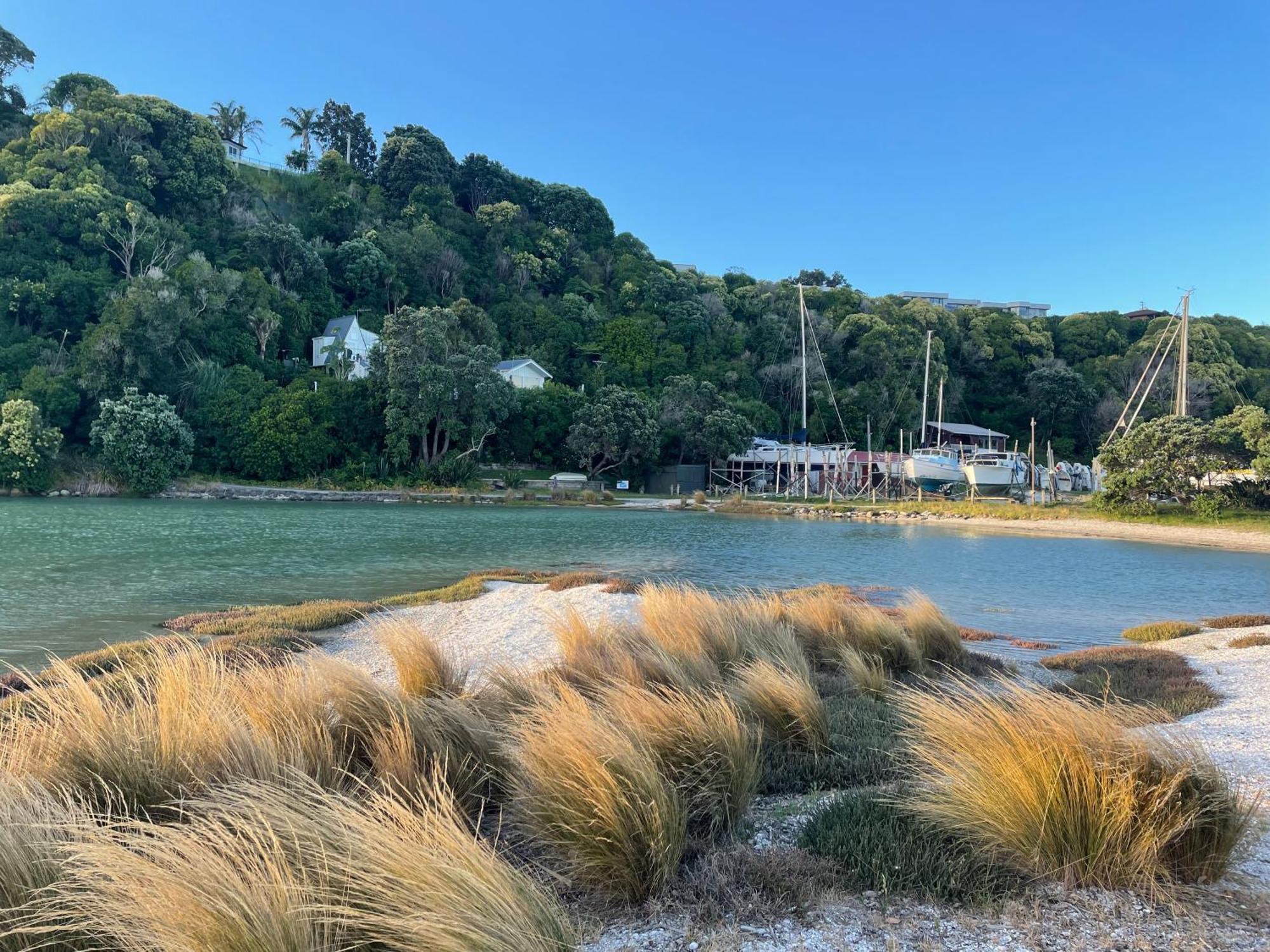 Your Home In Cockle Bay Όκλαντ Εξωτερικό φωτογραφία